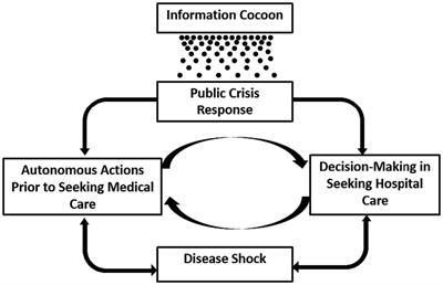 Patients’ response during the co-circulation of multiple respiratory diseases in China—based on the self-regulation common-sense model